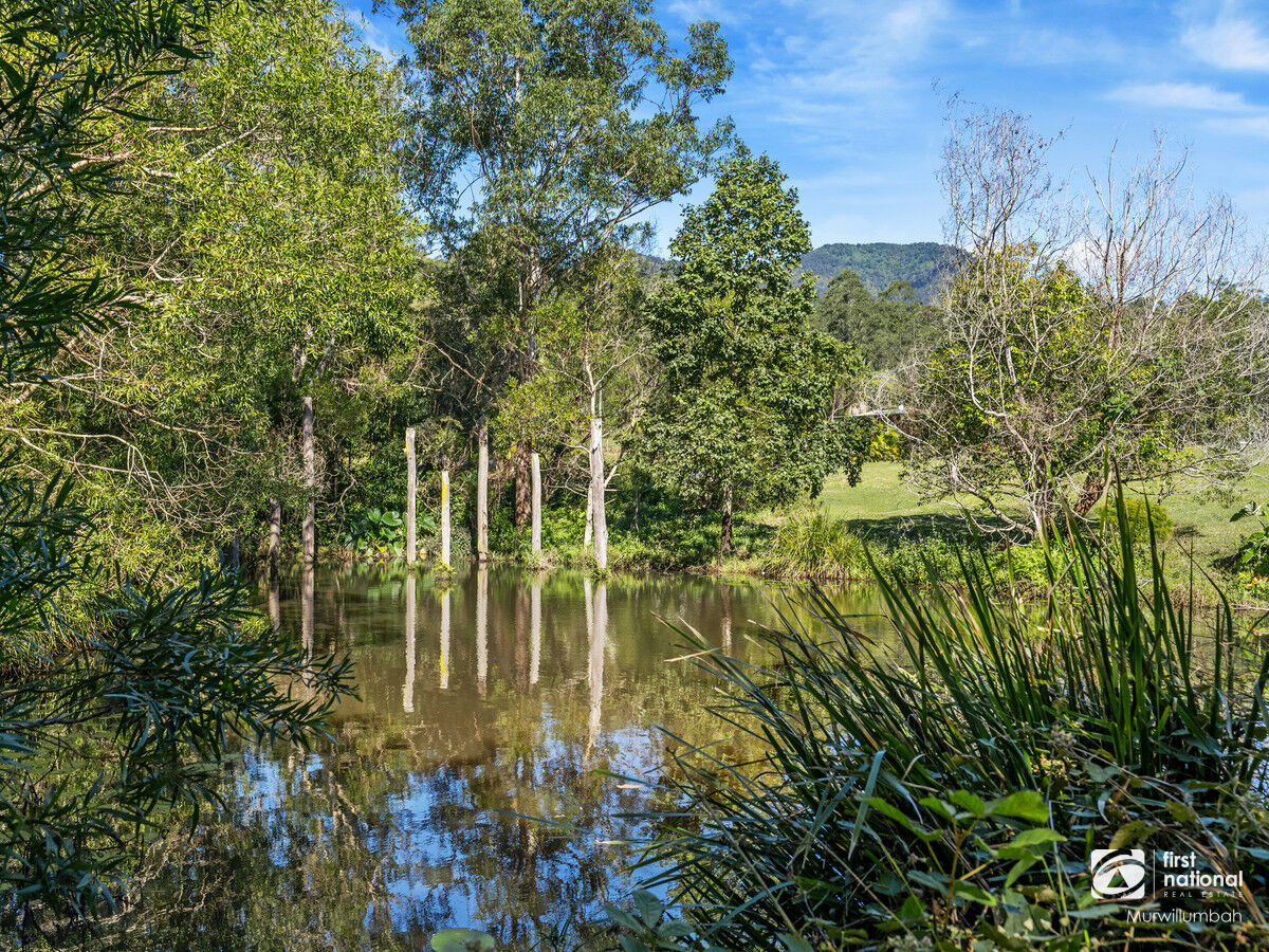 11 WARATAH CT, MOUNT BURRELL NSW 2484, 0 Kuwarto, 0 Banyo, Section