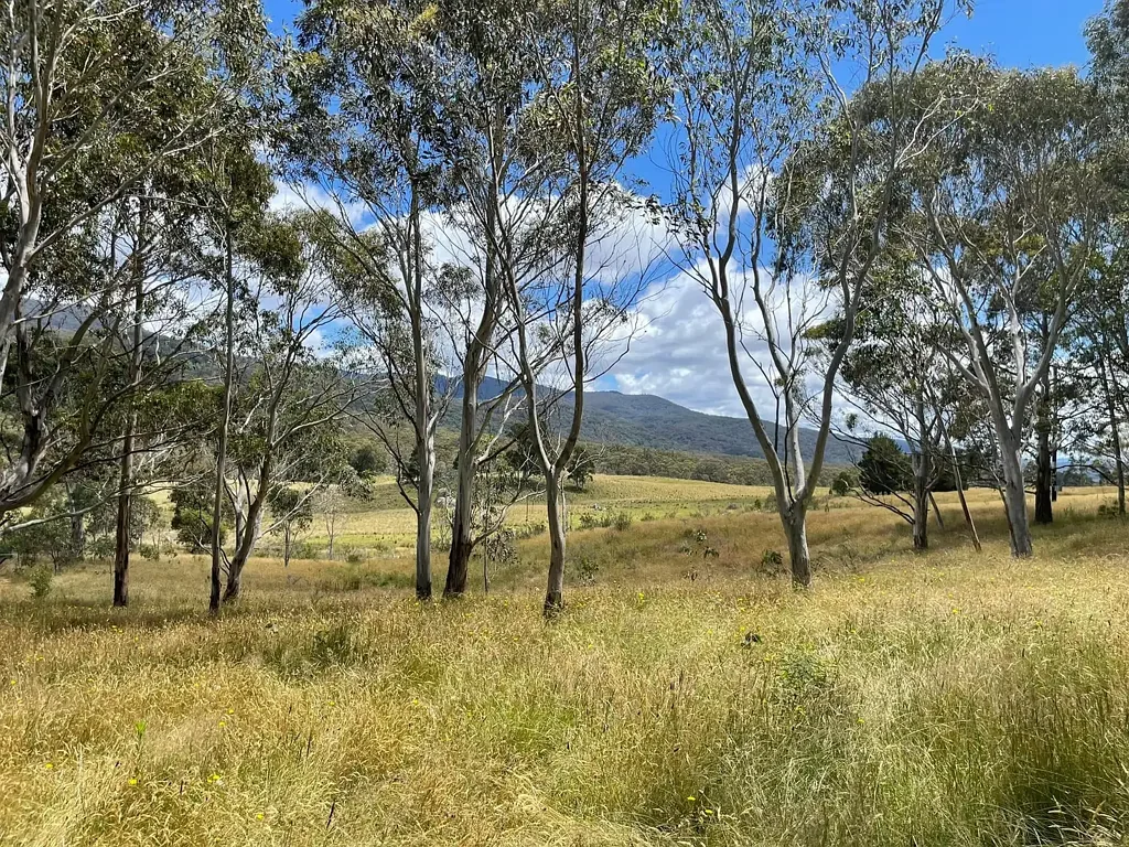 681 Hereford Hall Road, Hereford Hall via, Braidwood, NSW 2622