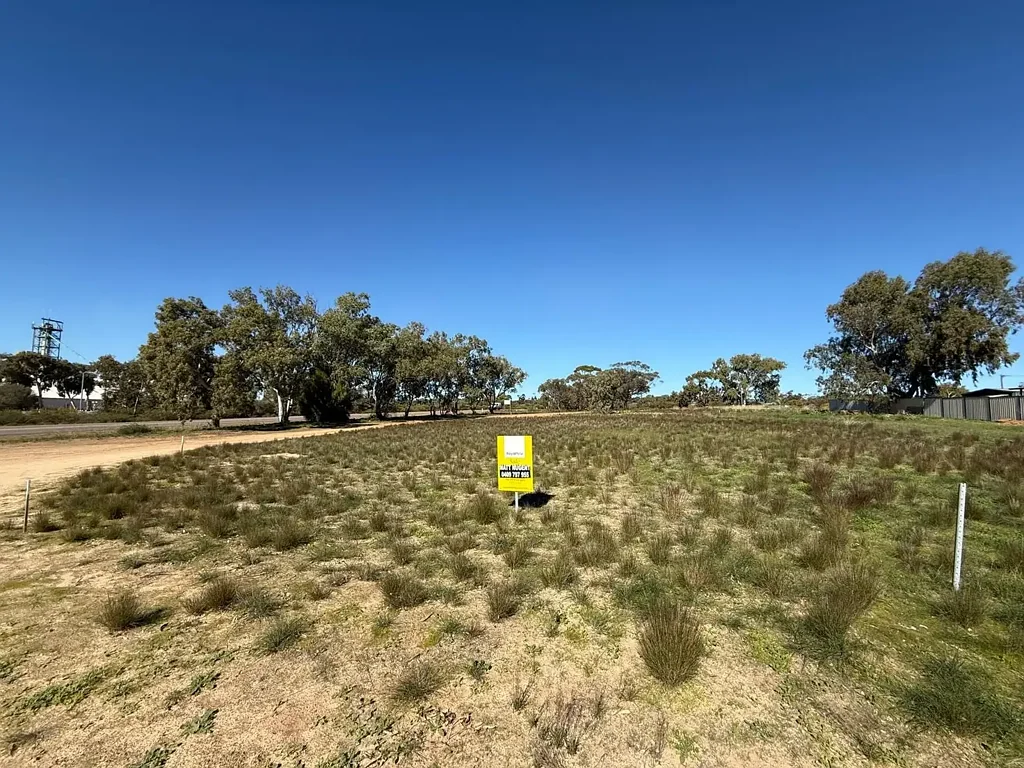 Mingenew  Large 784m² Corner Block | $45,000