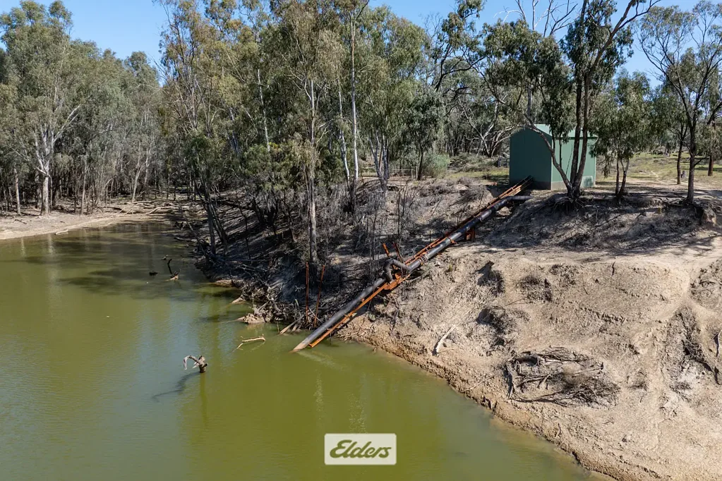 Kyalite  "MASCOTTE FARM"

Large scale cereal and irrigation parcel with Wakool River frontage.