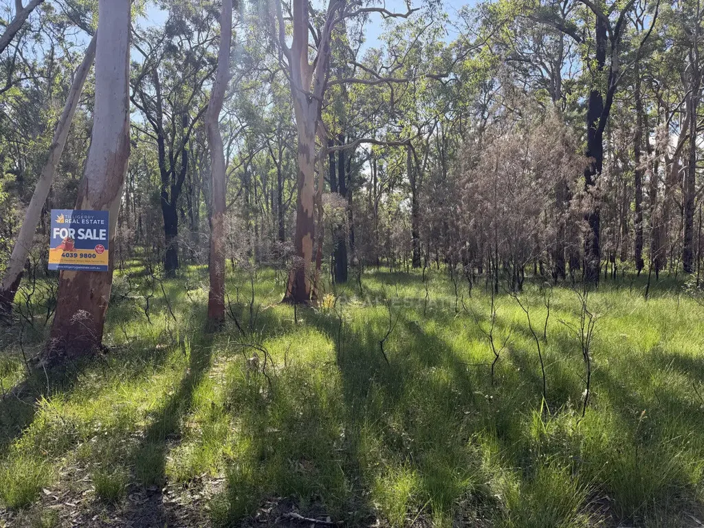 North Arm Cove Level Block with Bitumen Road Frontage