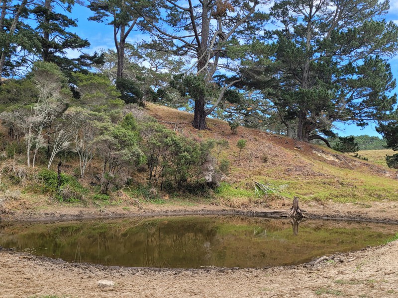 Koremoa Road, Te Kopuru, Kaipara, 0房, 0浴