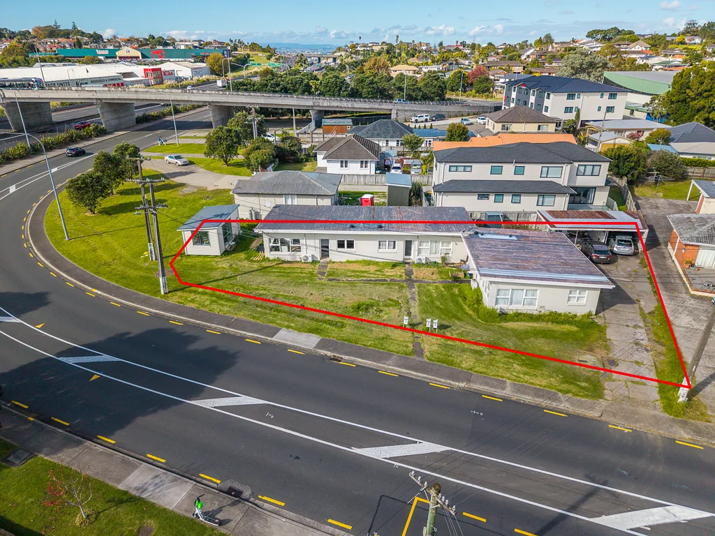 Mount Roskill 6房  Renovate or DETONATE