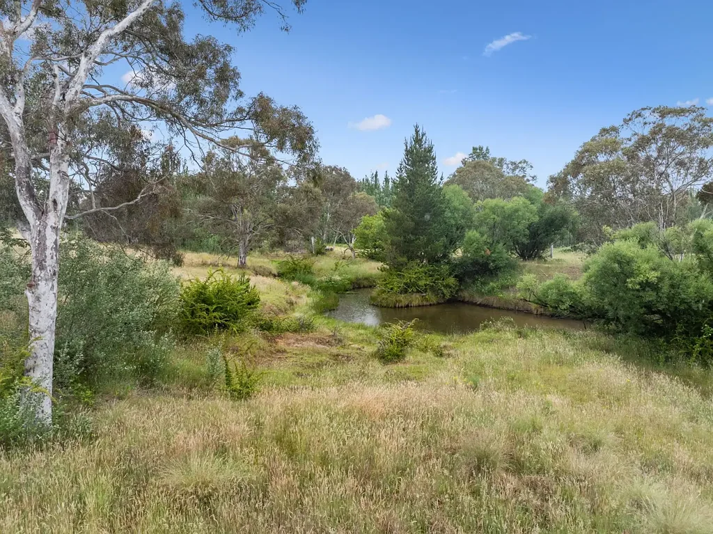 "Shepherd's Park" 17 Doust Road, Bywong, NSW 2621