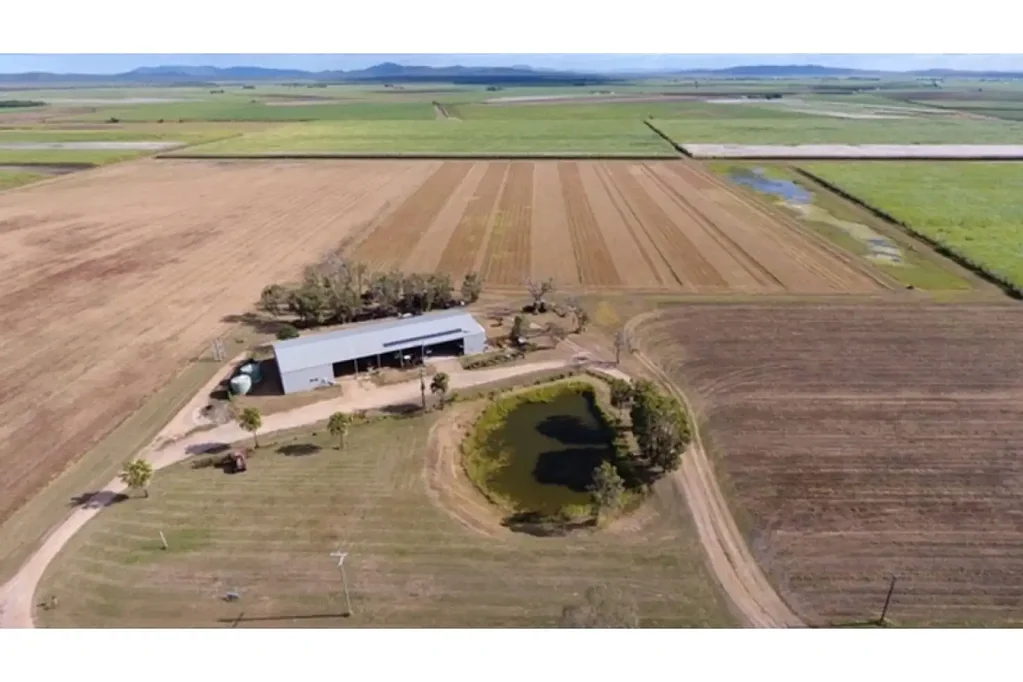 Fredericksfield 125 Acre Cane / Hay Farm - Burdekin Region