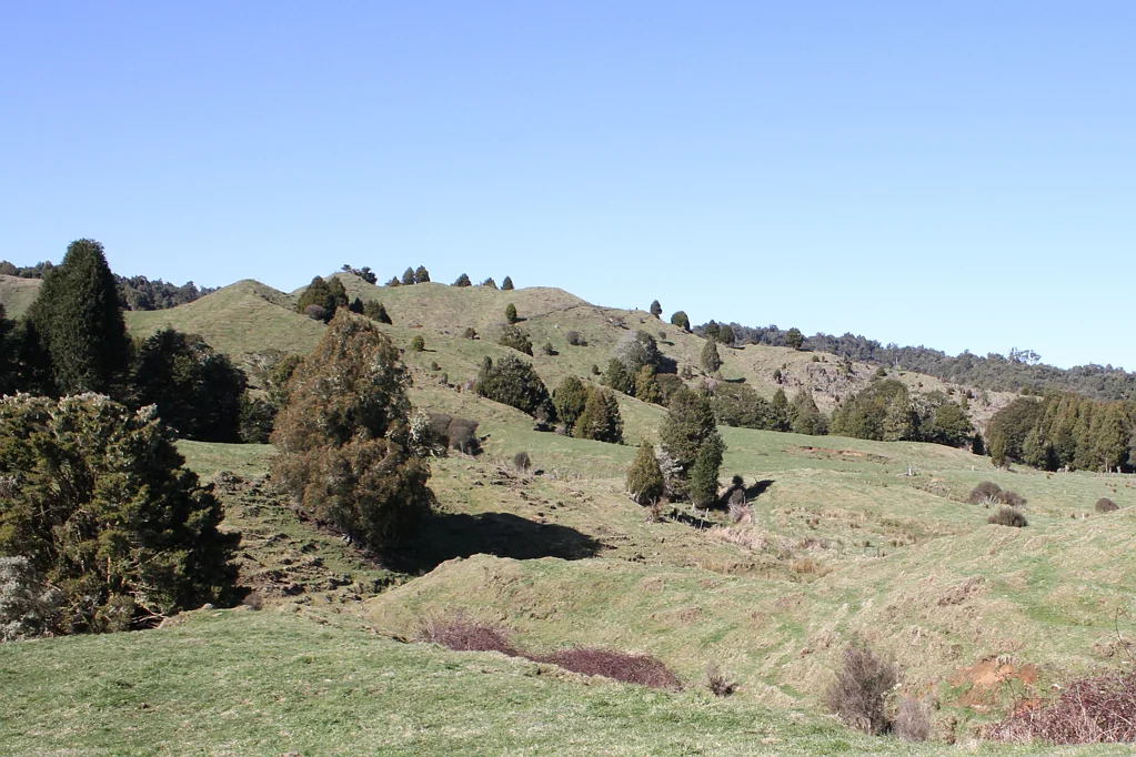 Tongaporutu Waitaanga Farming/Forestry
