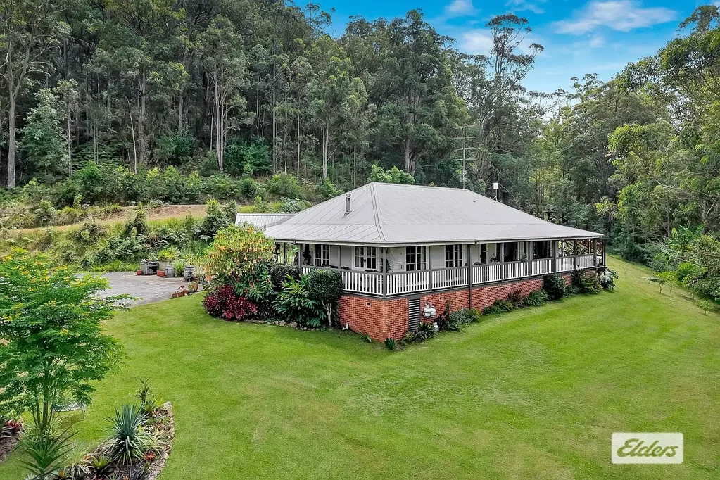 60 Brush Creek Road, Cedar Brush Creek, NSW 2259