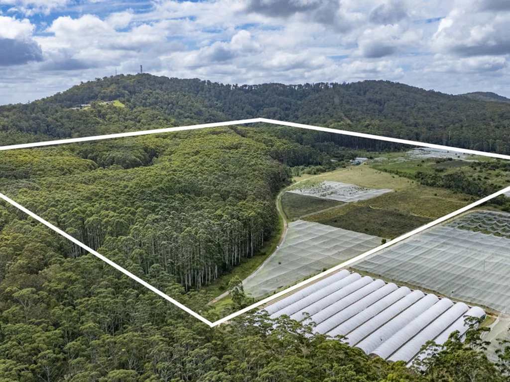 212 Range Road, Halfway Creek, NSW 2460