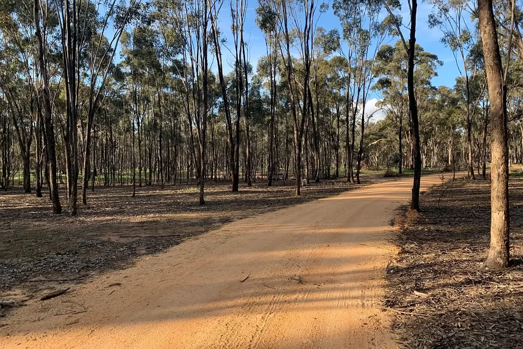 Beazleys Bridge **PRICE DROP** OFFGRID living on 130acres