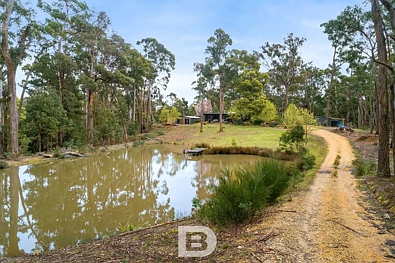 Wheatsheaf 4Kwarto Escape to Serenity – A Modern Farmhouse Retreat on 2.28ha
