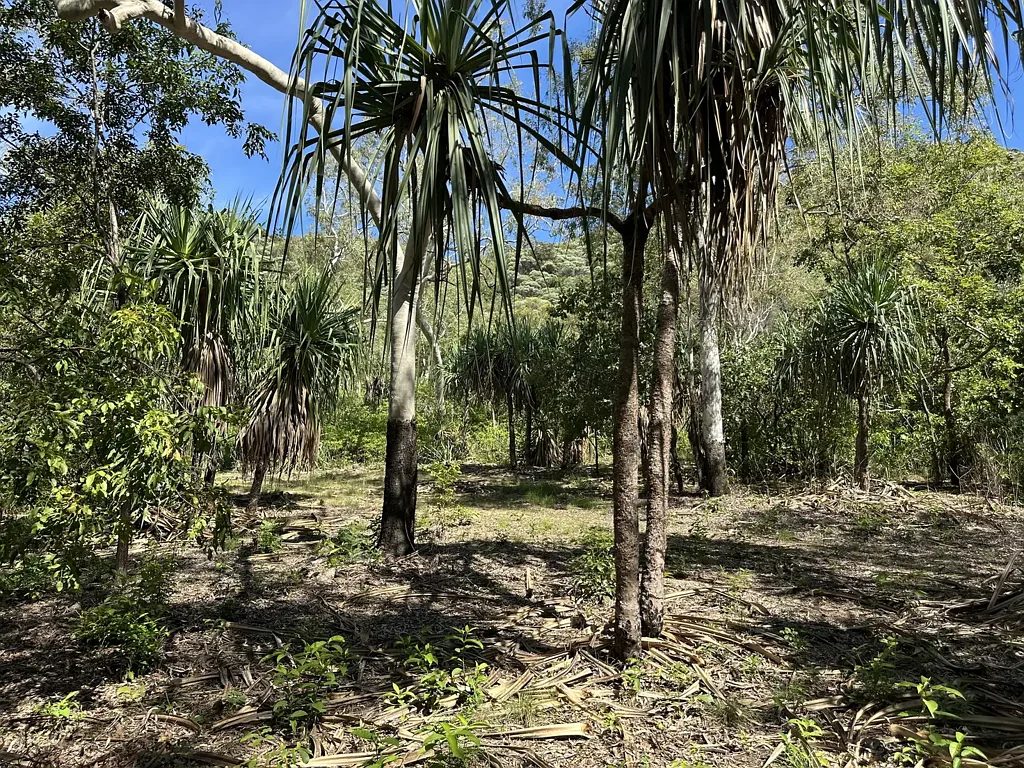 Horseshoe Bay  4,056m2 Vacant Land backing onto National Park