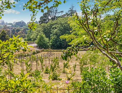 LOT 10/Part of 101 Mollison Street, Malmsbury, Ballarat, 0部屋, 0バスルーム, Section