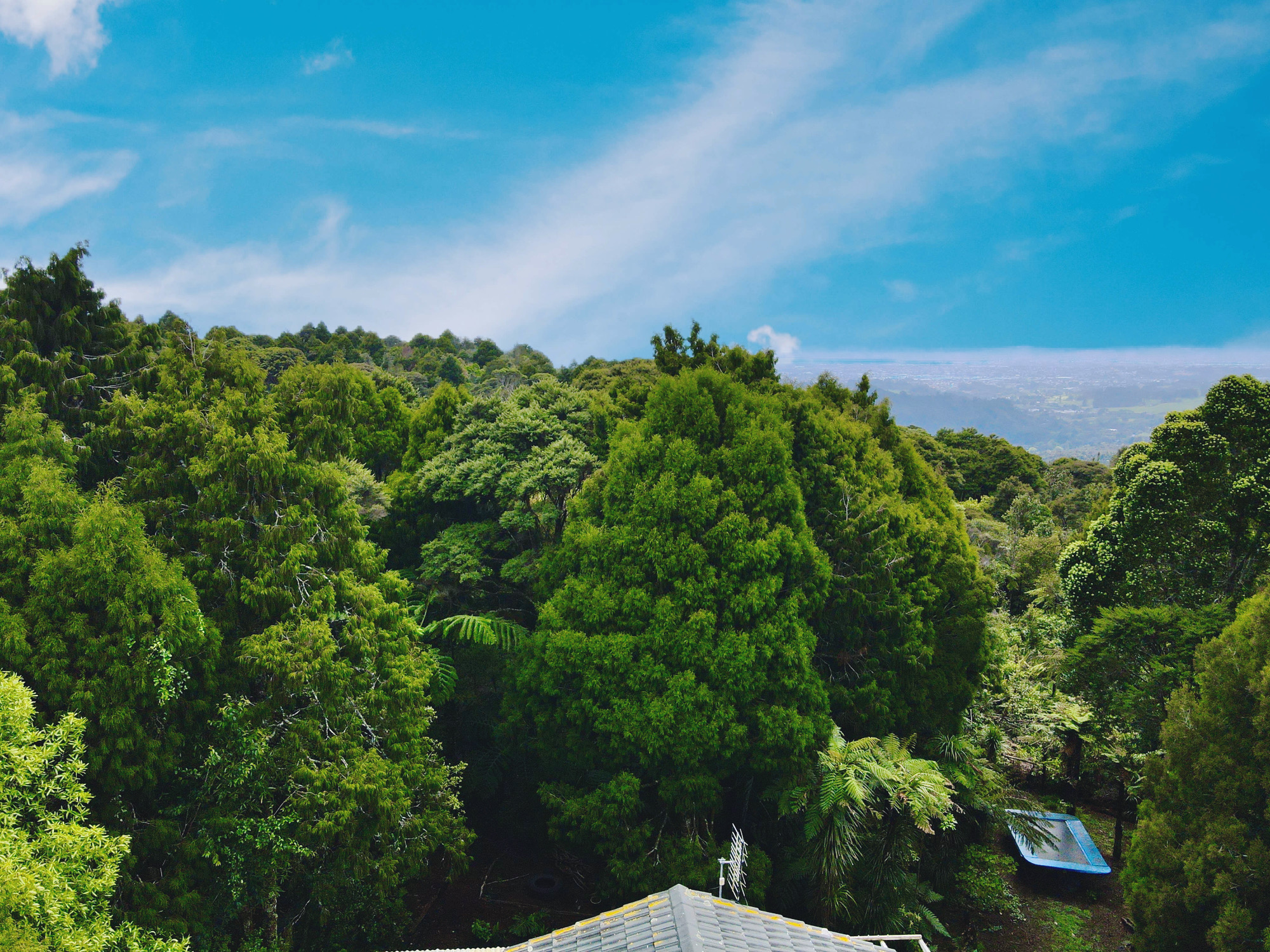 737 Scenic Drive, Henderson Valley, Auckland - Waitakere, 4 Kuwarto, 0 Banyo