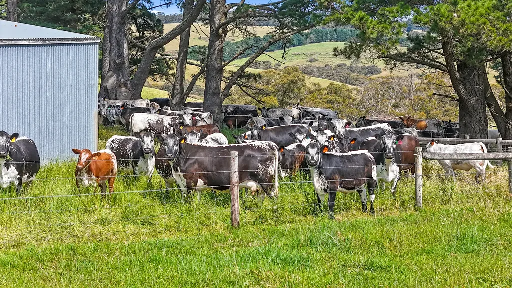 137 Faggotter Road, Myponga, SA 5202