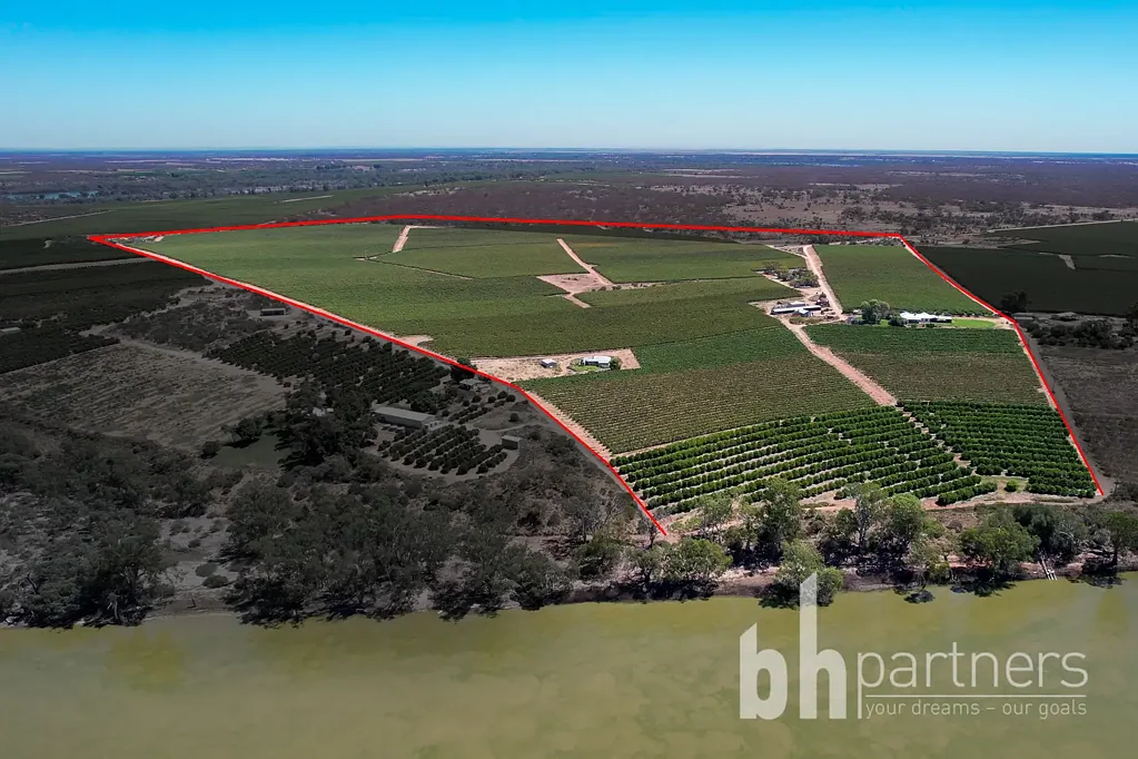 Taylorville Riverfront Living on 84.2HA - Two Homes, Endless Lifestyle with Quality Irrigation Infrastructure