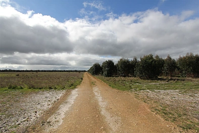 . 10 Lots, Wattle Range, SA 5280, 0 Bedrooms, 0 Bathrooms, Lifestyle Property