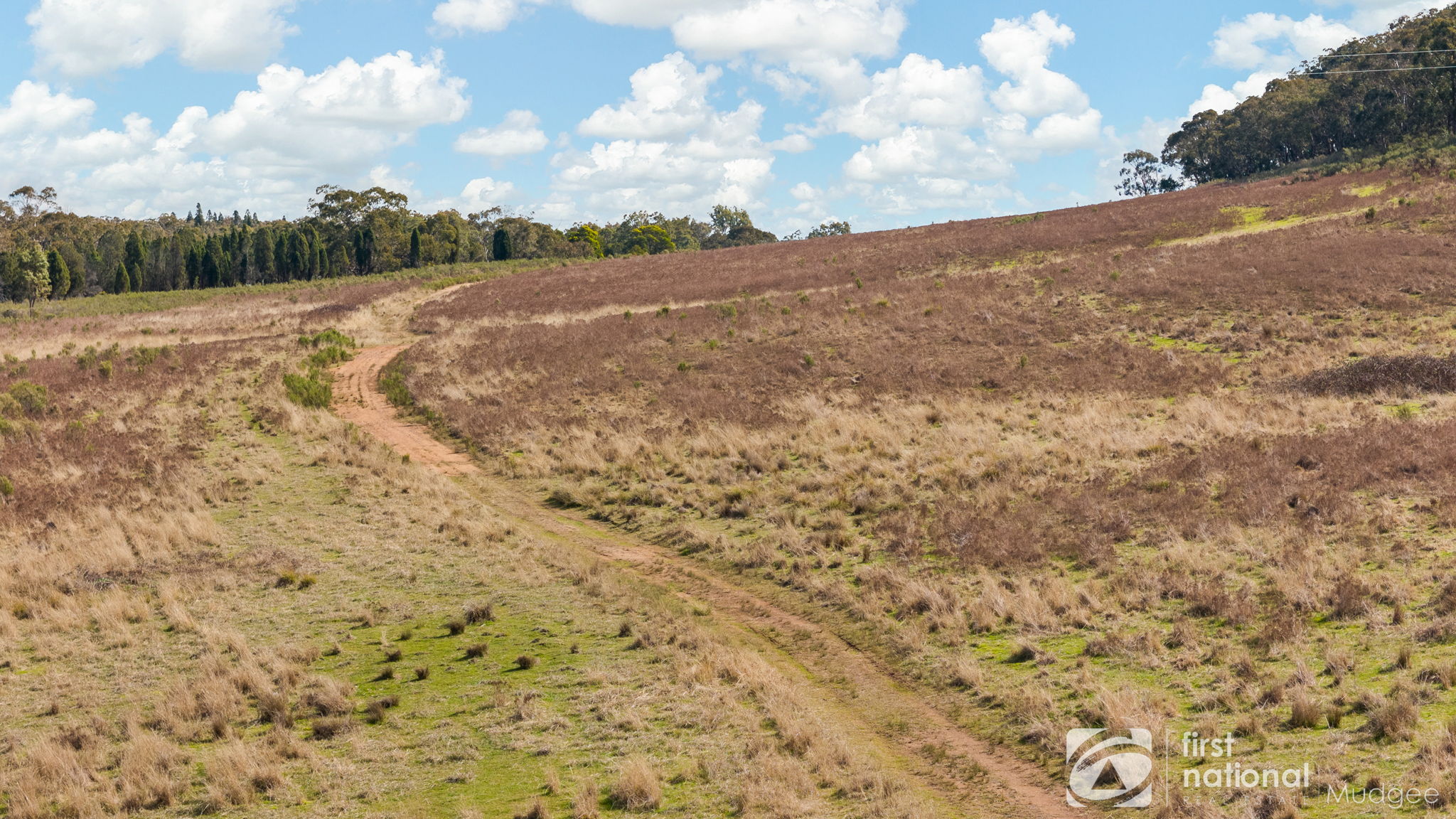 189 MONTAZA RD, TALLAWANG NSW 2852, 0 ਕਮਰੇ, 0 ਬਾਥਰੂਮ, Lifestyle Property