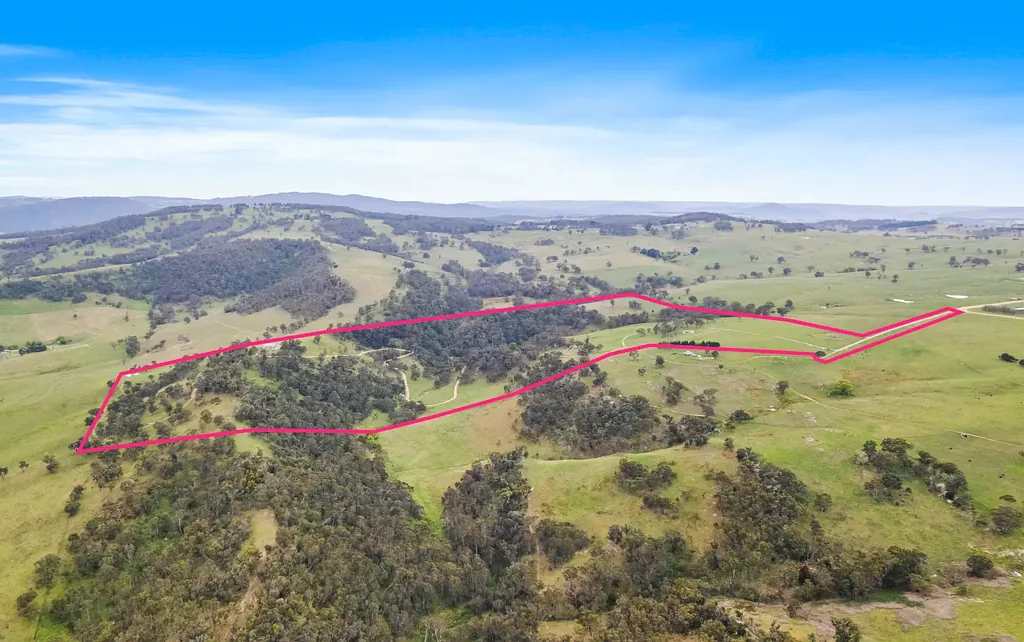 191 Jerrys Meadow Road, Sodwalls, NSW 2790
