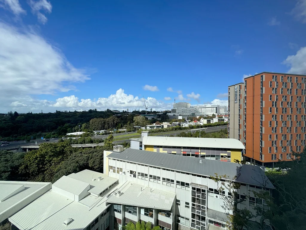 Auckland Central  Great natural light with views over the Auckland Domain