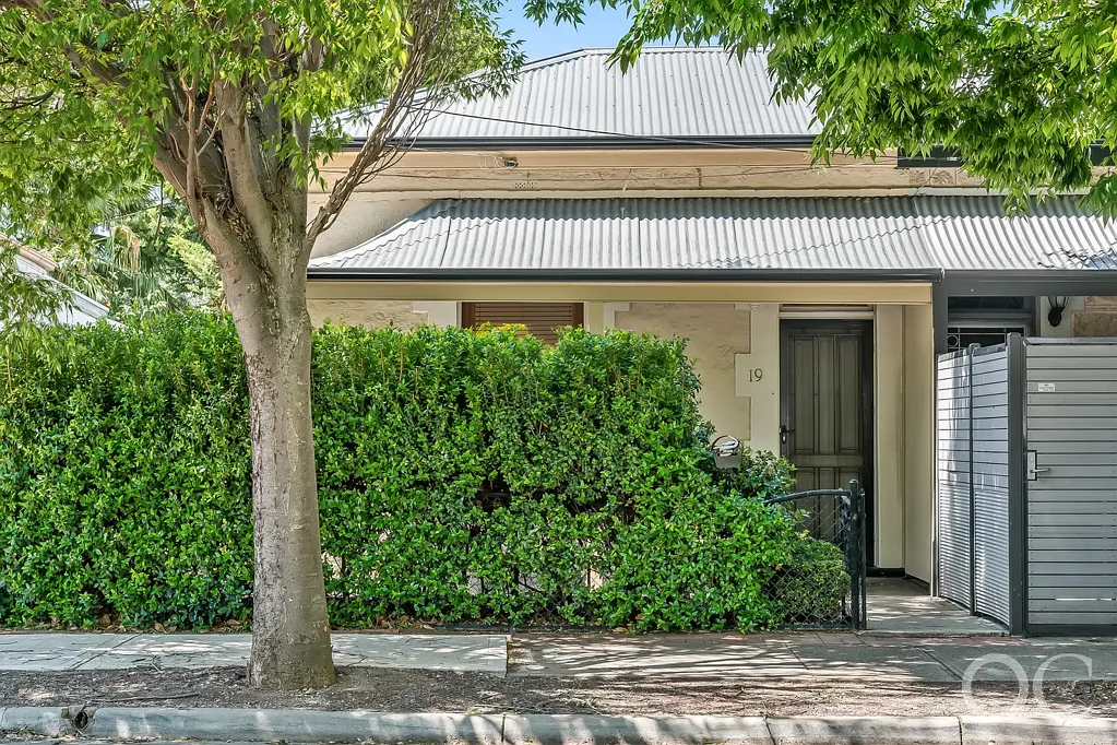 19 Washington Street, Hilton, SA 5033