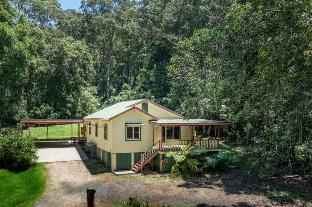 34 Tree Fern Close, Repton, NSW 2454