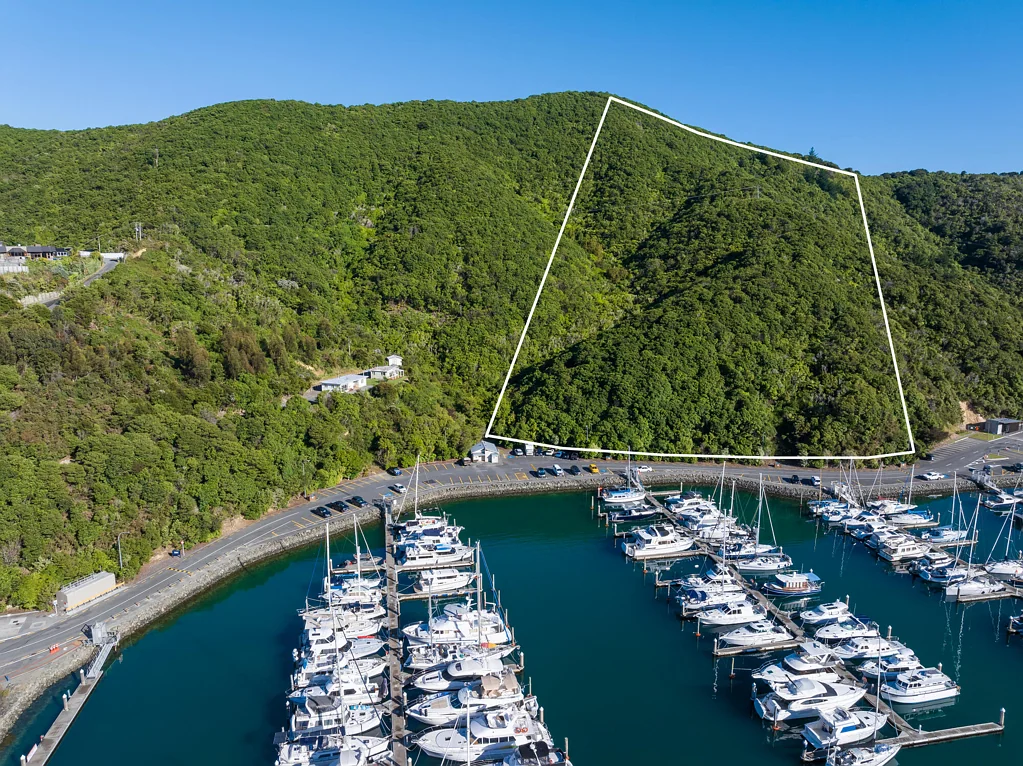 Waikawa  $1m below RV  - Vendor wants action