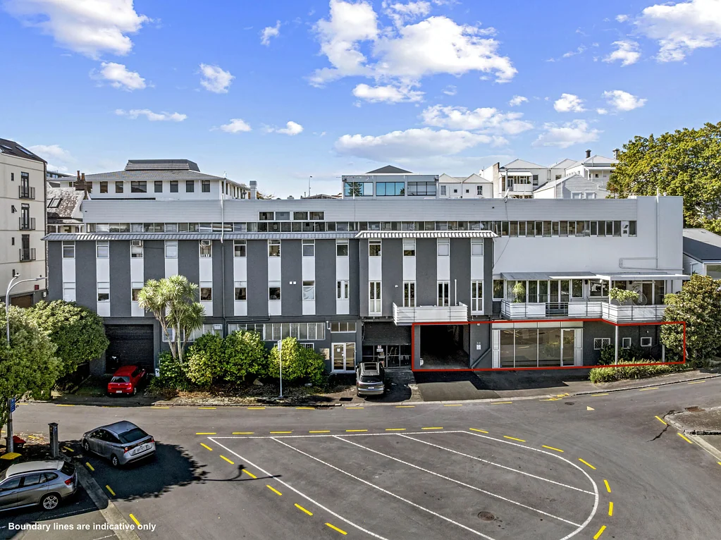 Parnell Parnell warehouse opportunity