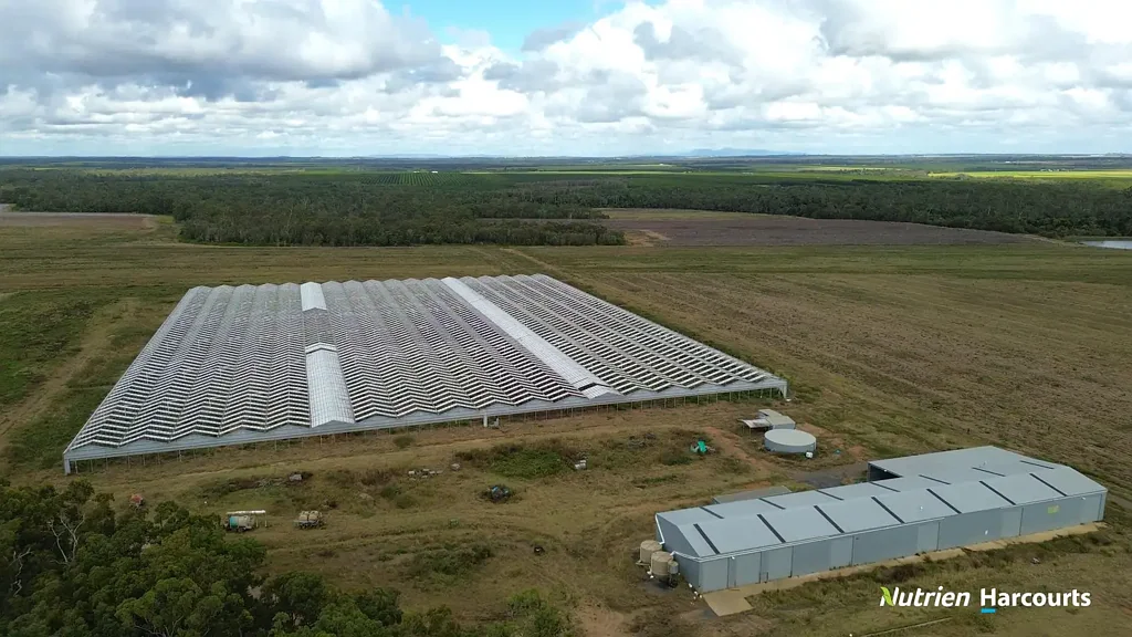 North Gregory 237 AC FARM | AUCTION POSTPONED