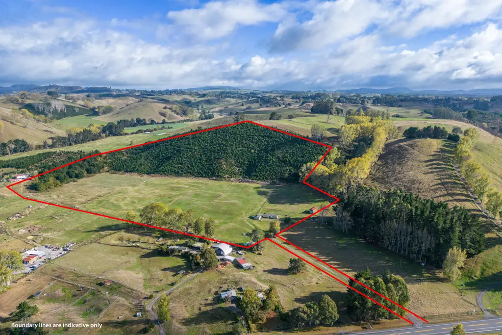 Wairakei and Surrounds Embrace country living with easy access to Taupo