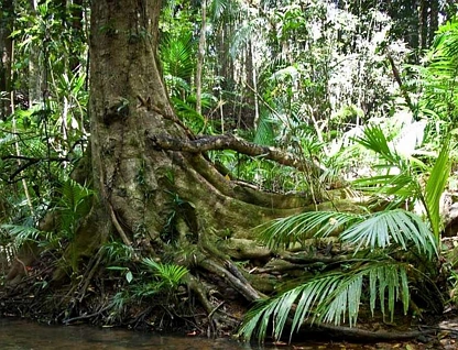 LOT 4/Lot 4 Discovery Drive, Kuranda, Cairns, 0 ห้องนอน, 0 ห้องน้ำ, Section