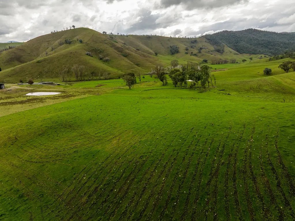 'Rockview' 400 Horse Creek Road, Jingellic, NSW 2642