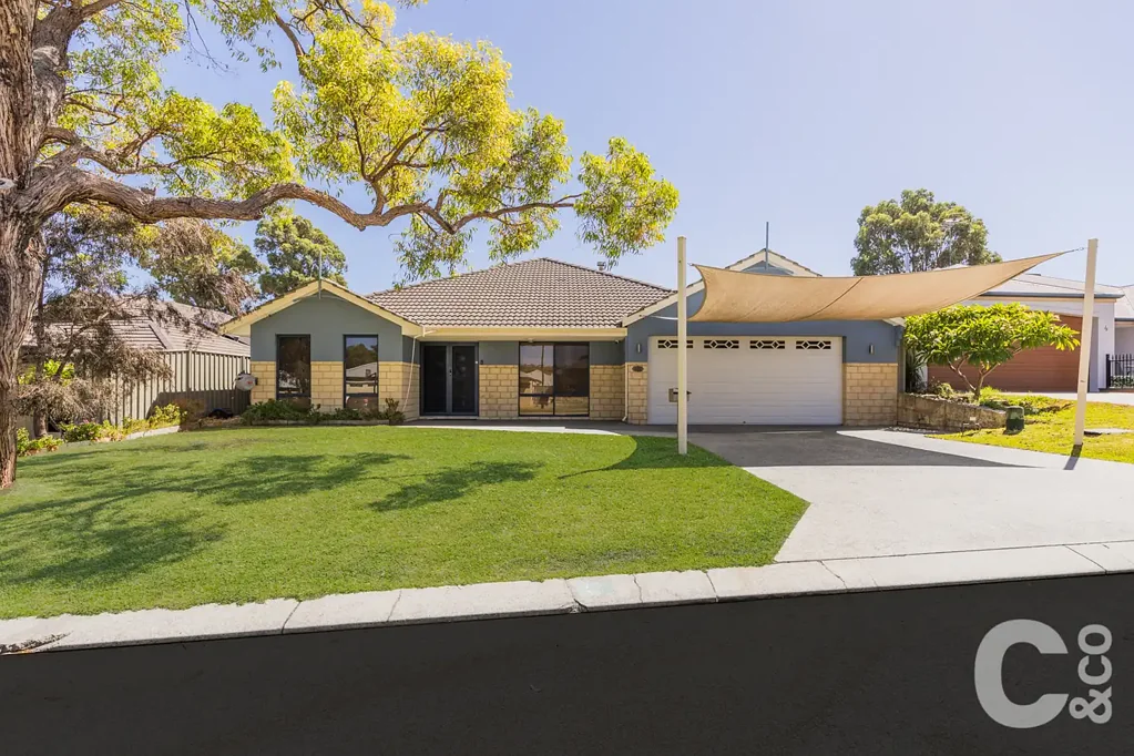 6 Nursling Chase, Wellard, WA 6170