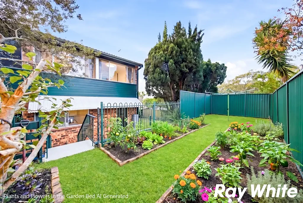 Gymea 3房 阳光普照的精致与无与伦比的便利 Sun-Drenched Sophistication and Unmatched Convenience