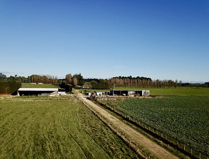200 Rakahouka Grove Bush Road, Winton Surrounds, Southland, 0 Bedrooms, 0 Bathrooms, Grazing