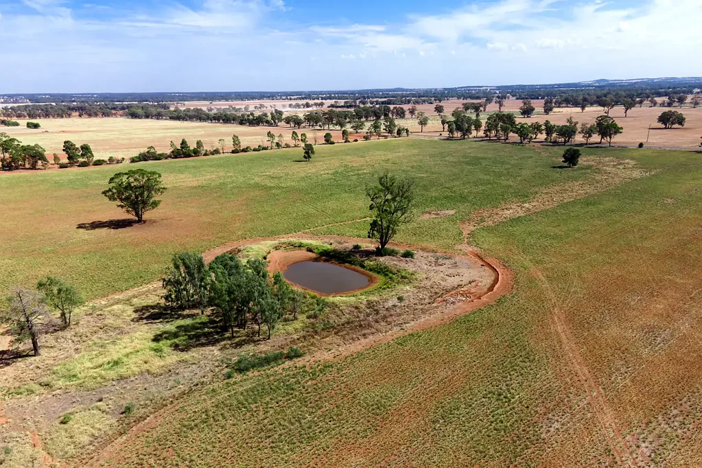 145 Bundawarrah Road, Temora, NSW 2666