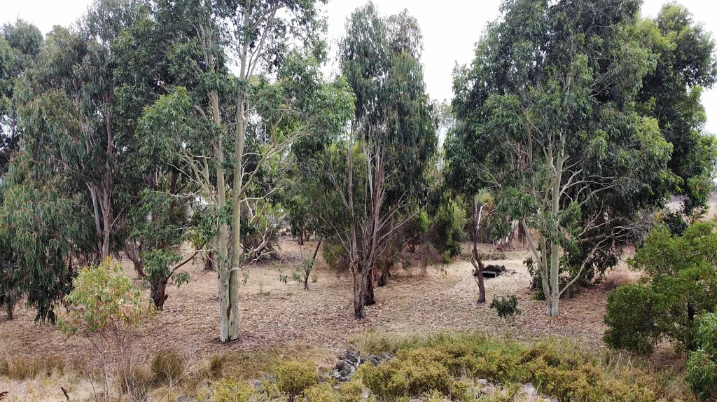 86 Teesdale-Lethbridge Road, Teesdale, VIC 3328