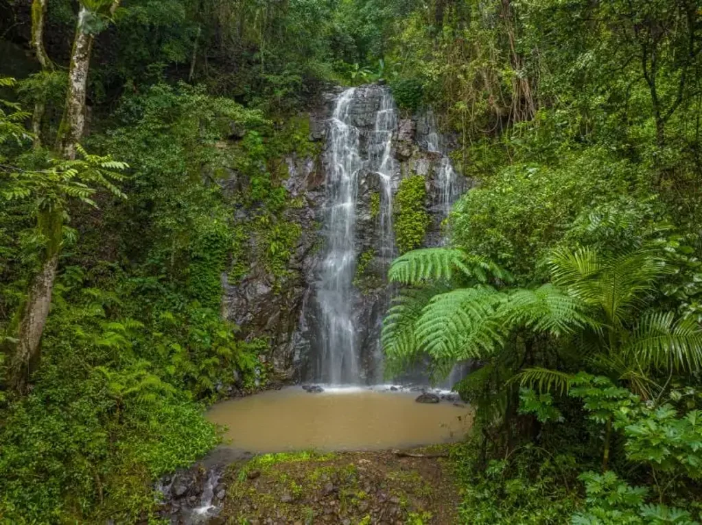 Nimbin  Nimbins' Waterfall Retreat