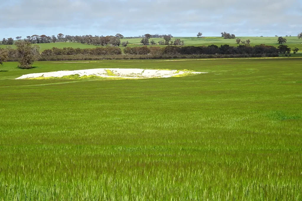 Boundain Narrogin Farming Heritage