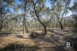 268 Moonlight Rd - Moonlight Flat, Maryborough