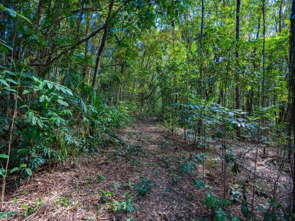 Kuranda lot 5 Discovery Drive, Jumrum Estate, Kuranda