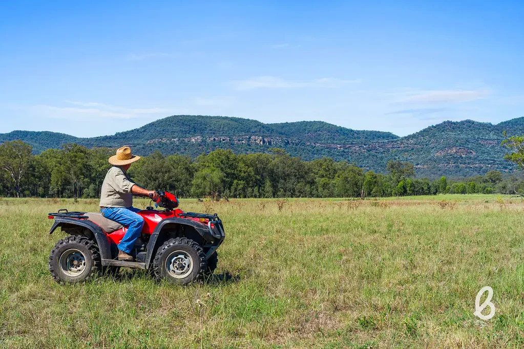 Jerrys Plains  A Blank Canvas Beneath the Mountains