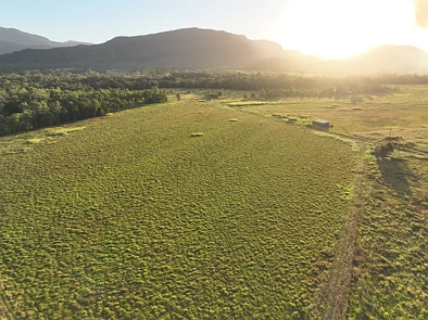 Adres Weerhou, Bloomsbury, QLD 4799, 0 slaapkamers, 0 badkamers, Lifestyle Property