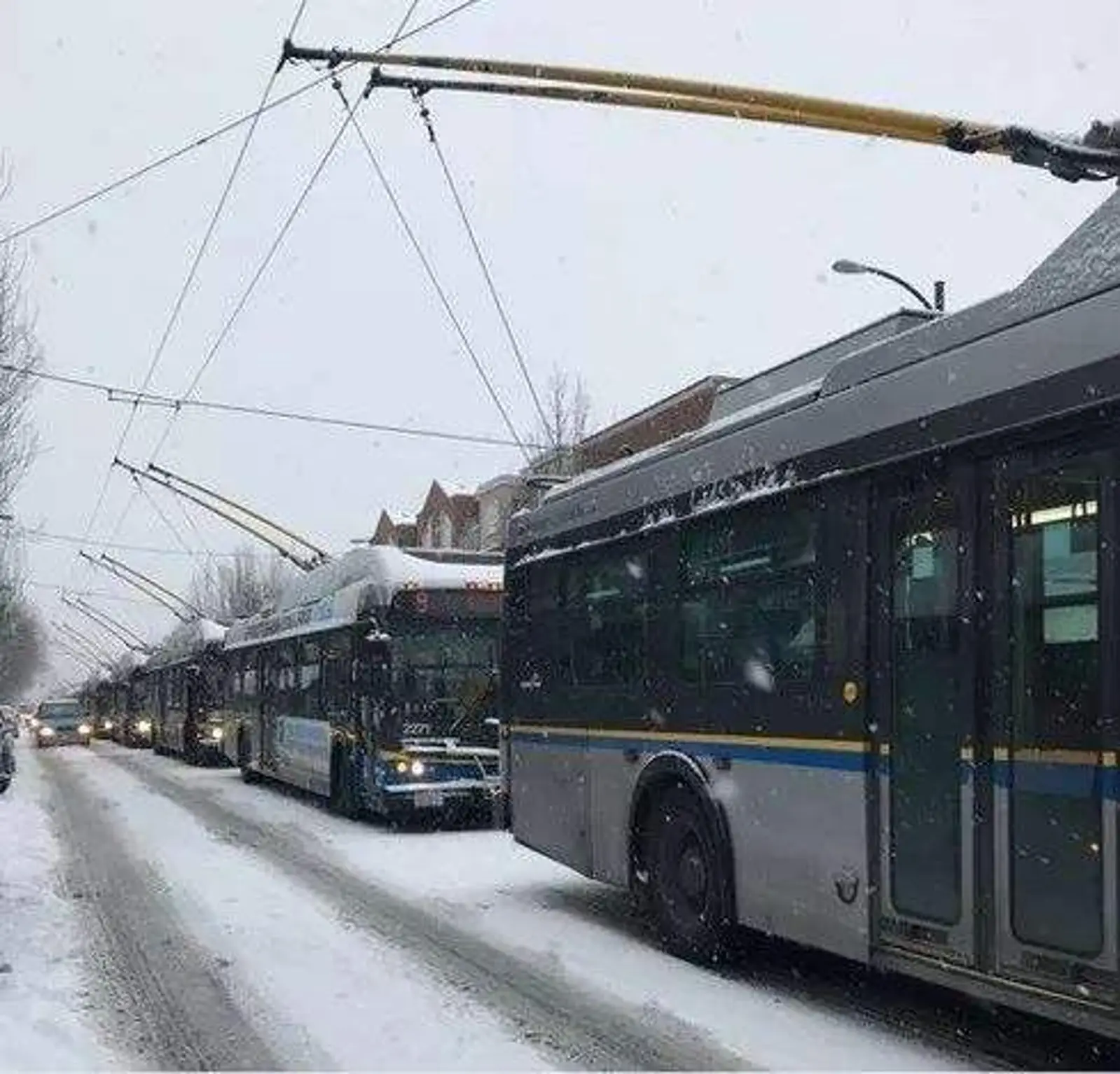 瑟瑟发抖!极地寒流席卷大温,雨雪交加,公共交通停摆!