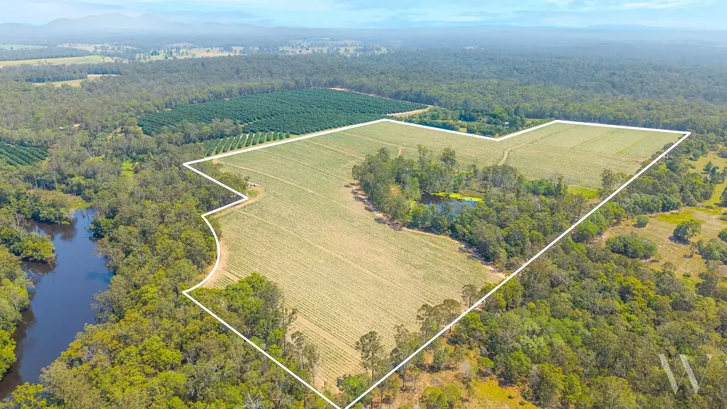 Teddington HIGHLY PRODUCTIVE 60 ACRE CANE FARM WITH WATER SECURITY & LIFESTYLE POTENTIAL!