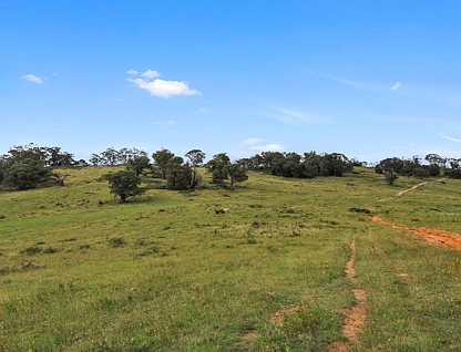 Lot 10 in DP 1005495 Wee Jasper Road, Tumut, South Coast, 0 Schlafzimmer, 0 Badezimmer, Section