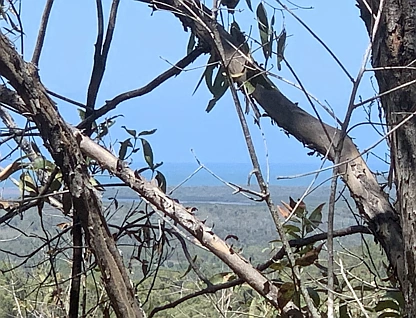 LOT 36 Whitsunday Dr, Bloomsbury, Mackay, 0房, 0浴, Section