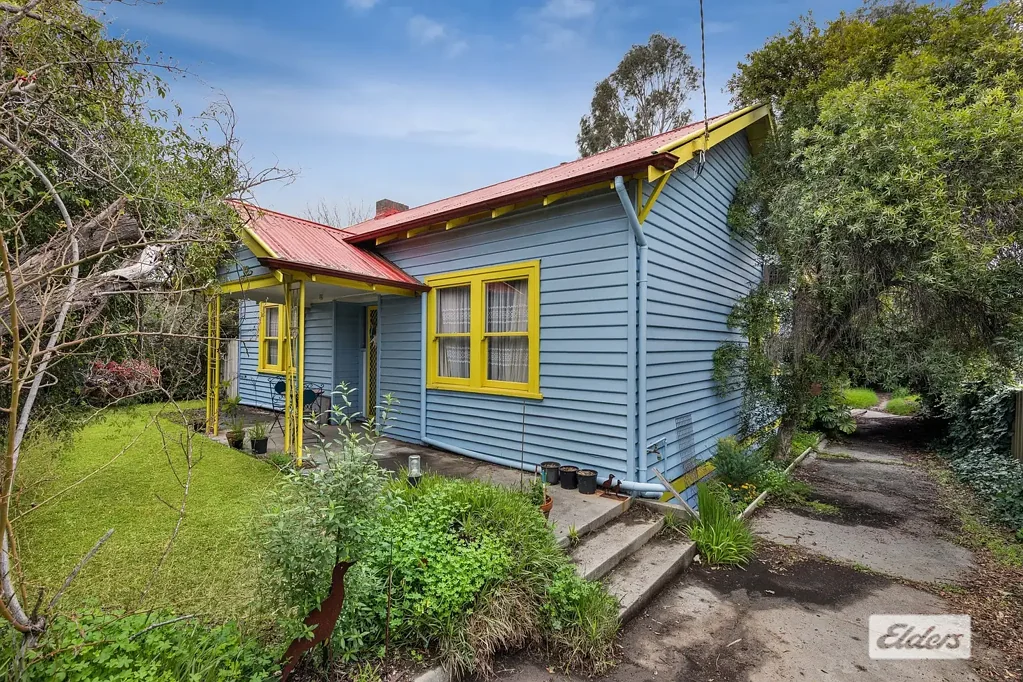 Flora Hill 3房  A Creative Home with Space, Soul and a Standout Location