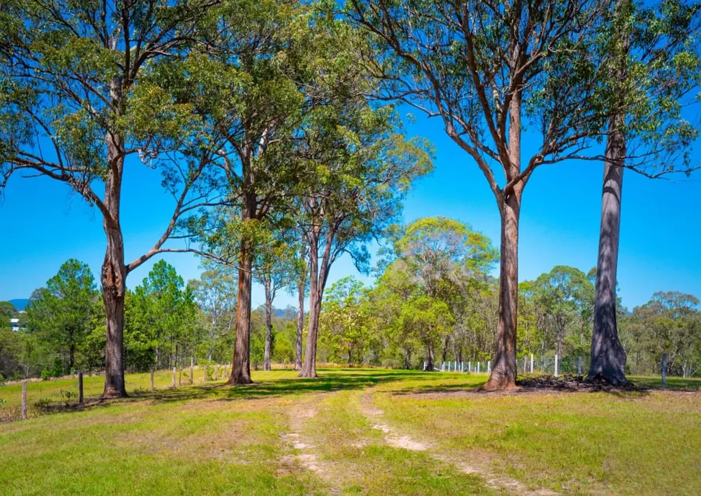 Araluen  A Peaceful, Private Retreat Embracing Self-Sufficiency and Sustainability