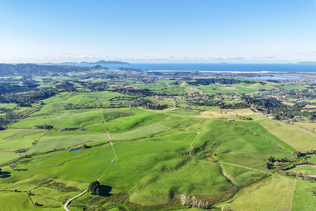 Mangawhai Landbank, farm or develop!