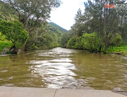 3103 Nowendoc Road, Caffreys Flat, Hunter, 0 Kuwarto, 1 Banyo, Lifestyle Property
